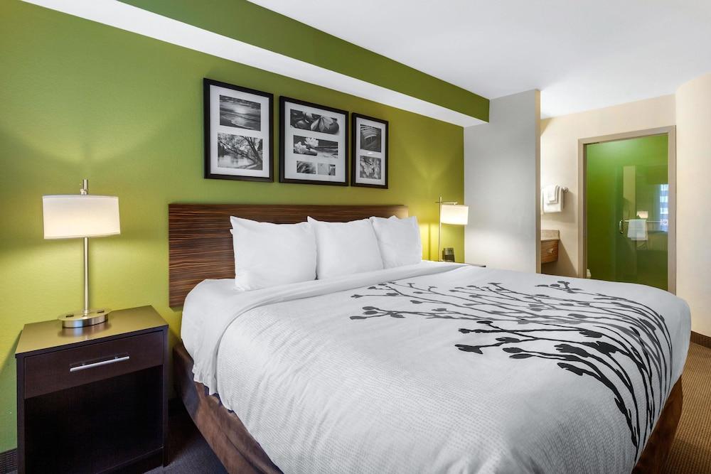 Surestay Plus By Best Western Mesa Superstition Springs מראה חיצוני תמונה
