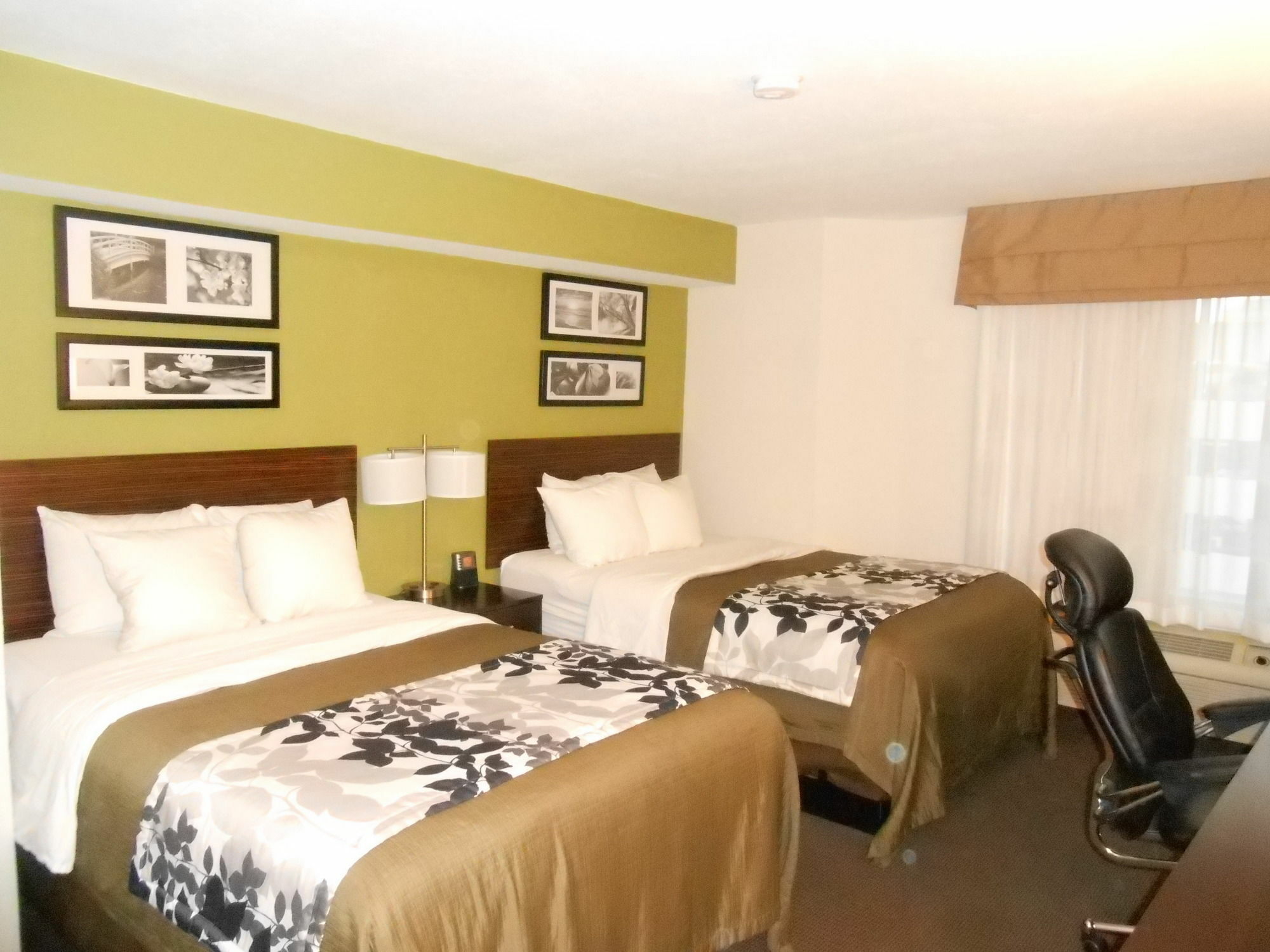 Surestay Plus By Best Western Mesa Superstition Springs מראה חיצוני תמונה