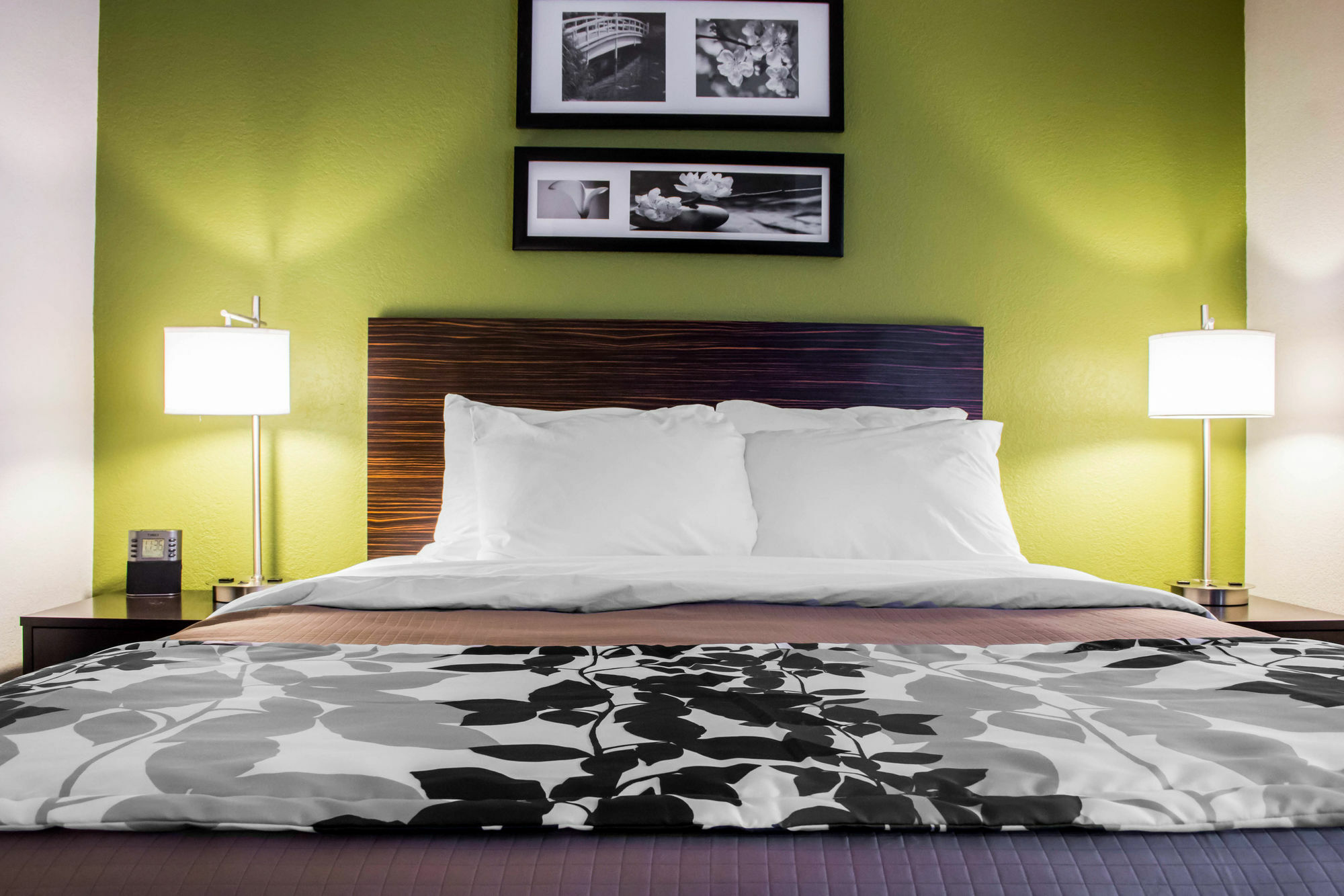 Surestay Plus By Best Western Mesa Superstition Springs מראה חיצוני תמונה