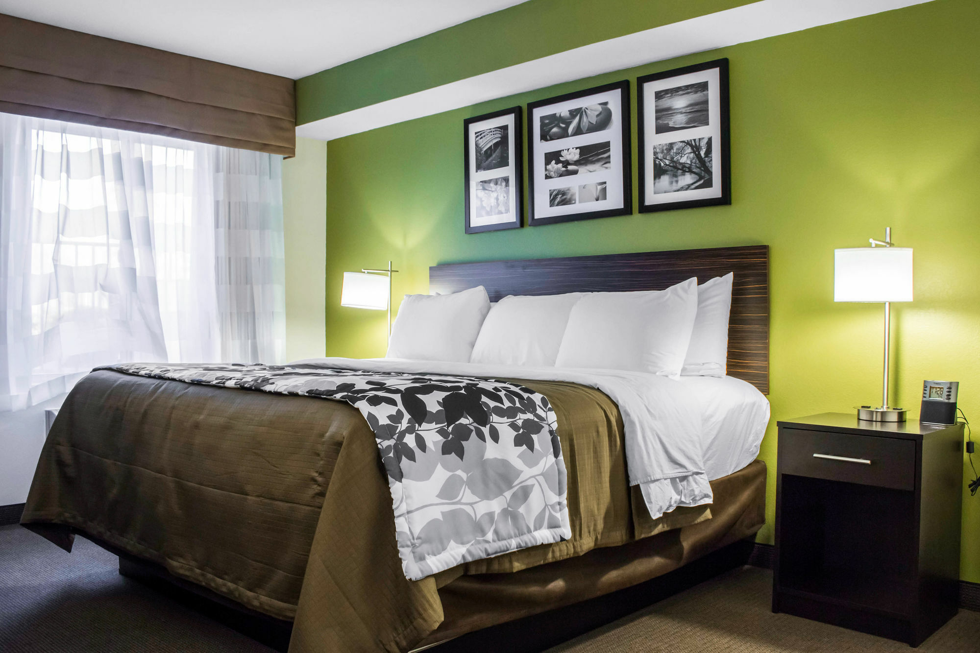 Surestay Plus By Best Western Mesa Superstition Springs מראה חיצוני תמונה
