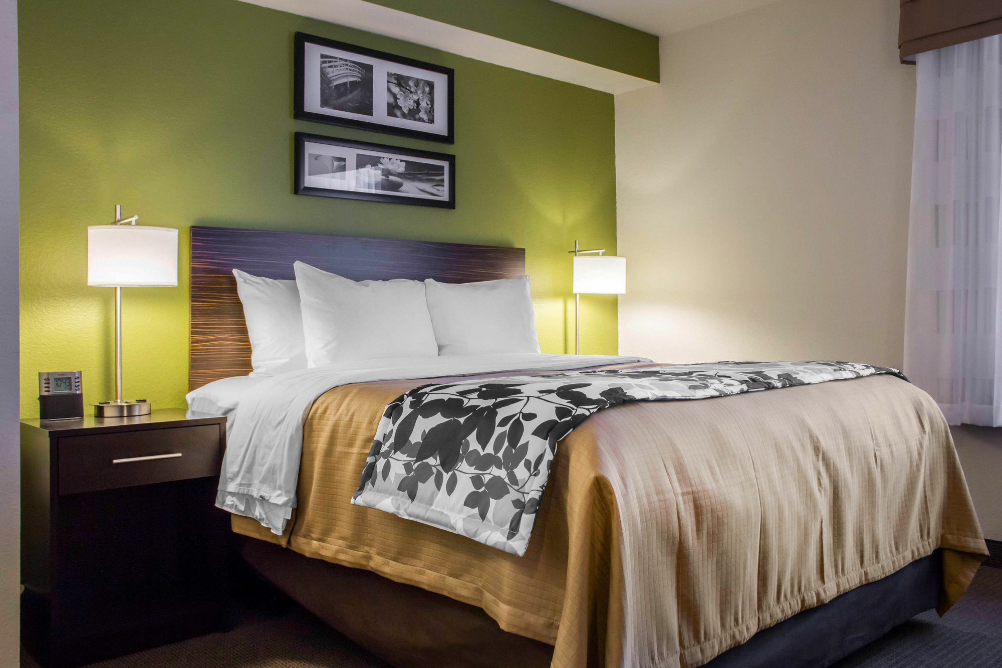 Surestay Plus By Best Western Mesa Superstition Springs מראה חיצוני תמונה
